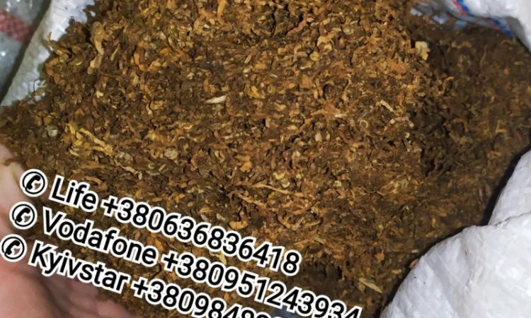 Продам табак сорта Миллениум для самокруток - фото № 1