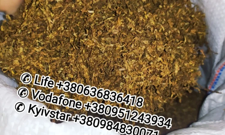 Продам табак сорта Кентукки для сигарет 1 кг - фото № 1