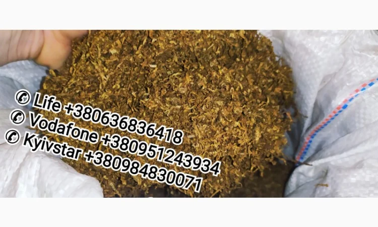 Продам табак сорта Дюбек, для самокруток - фото № 1