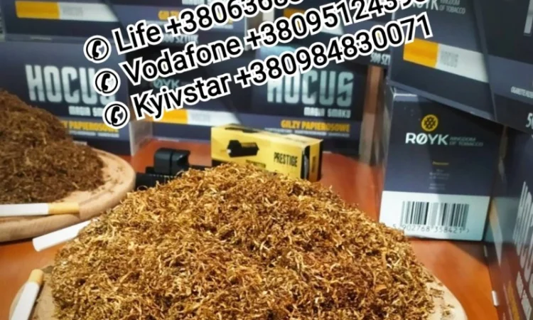 Кент, Винстон, Ротманс, Мальборо, <span style="background-color: #fed034; color: black;">Парламент</span> - фото № 15