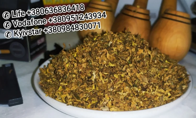 Кент, Винстон, Ротманс, Мальборо, <span style="background-color: #fed034; color: black;">Парламент</span> - фото № 8