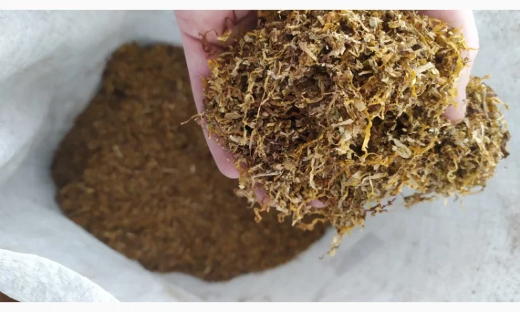 Продам табак Золотое Руно,  для сигарет 1 кг - фото № 1