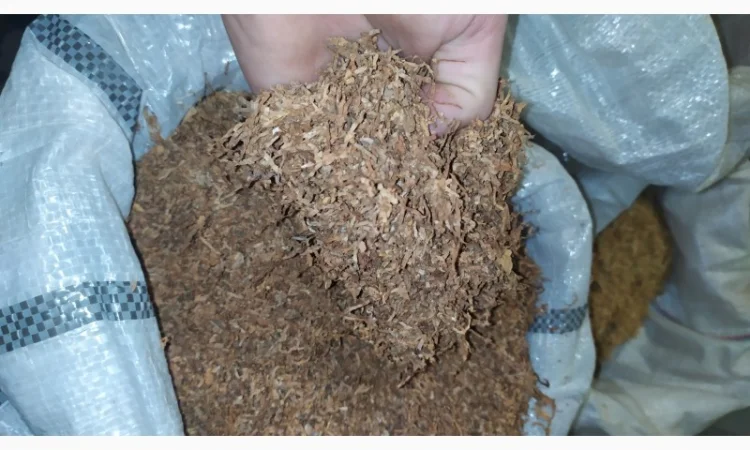 Продам качественный табак  для самокруток сорта Берли - фото № 1