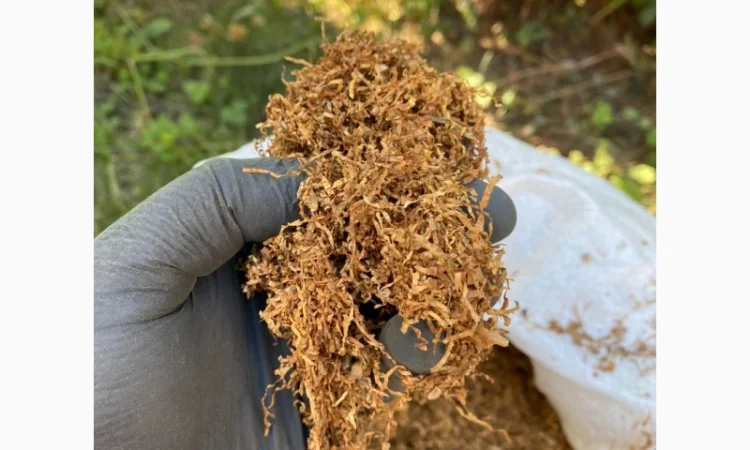 Продаємо тютюн високої якості для сигарет 1 кг - фото № 10