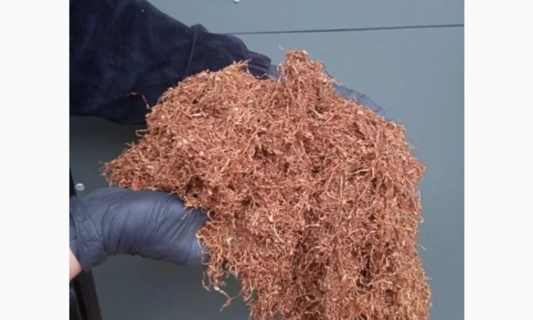 Продаємо тютюн високої якості для сигарет 1 кг - фото № 2