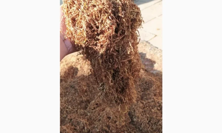 Продаємо тютюн високої якості для сигарет 1 кг - фото № 5