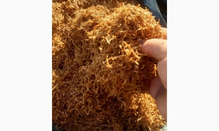 Продам тютюн для самокруток!  Відмінної Якості - фото № 1