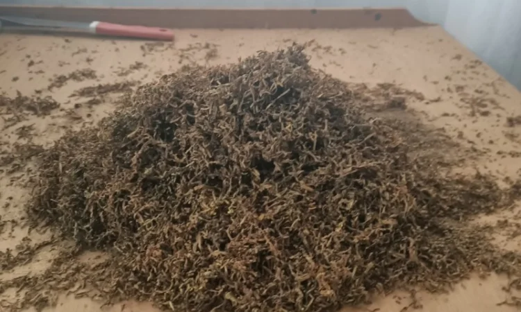 Продам тютюн для самокруток - фото № 1