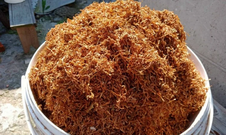 Табак-Україна,  для самокруток - фото № 3