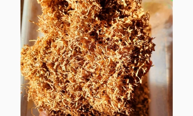 Тютюн  для самокруток , домашній свій, запашний! Смесь. Табак - фото № 3