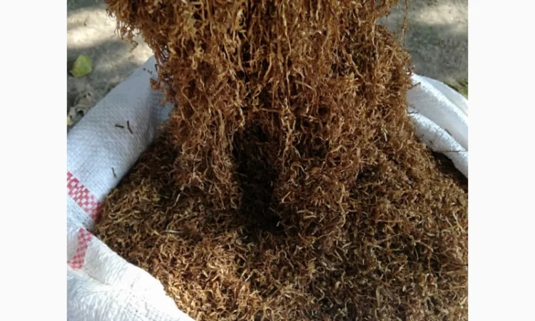 Продам тютюн для самокруток - фото № 1