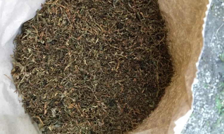 Продам тютюн для самокруток - фото № 1