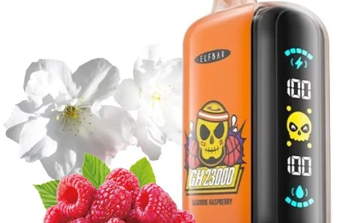 ПОД система ELF BAR GH 5% 23000 тяг, Жасмин Малина - фото № 1