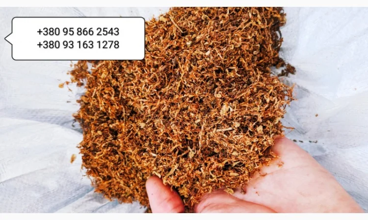 ТАБАК: Фабричный, Вирджиния Голд, Берли. Качество - фото № 2