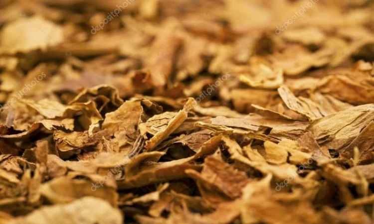 Продажа импортного ТАБАКА. ЦЕНА-КАЧЕСТВО - фото № 1