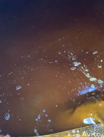 Закупаем ФУЗ подсолнечный соевый рапсовый жидкий баковый отстой и ГИДРОФУЗ - фото № 2