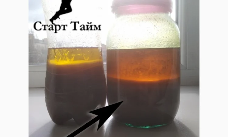 Фуз, баковый отстой - фото № 2