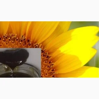 Куплю подсолнечный баковый отстой, подсолнечный фуз - фото № 1