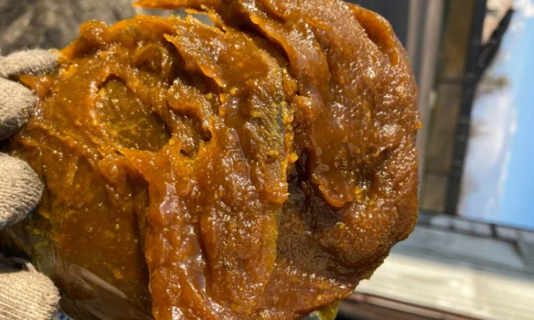 Фуз соевый, осадок соевого масла - фото № 1