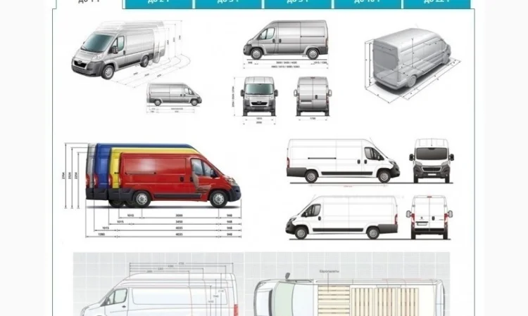 Грузоперевозки Вендичаны по Украине и СНГ, ЕС, Азия - фото № 3