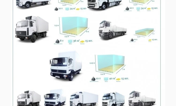 Грузоперевозки Обухов UA и Европе. Диспетчер, Експедитор, Логист - фото № 6