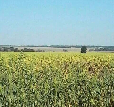 Замовити Газель до 1 - фото № 1