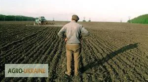 Еврозерновозы для перевозки зерна в Чернигове - фото № 7