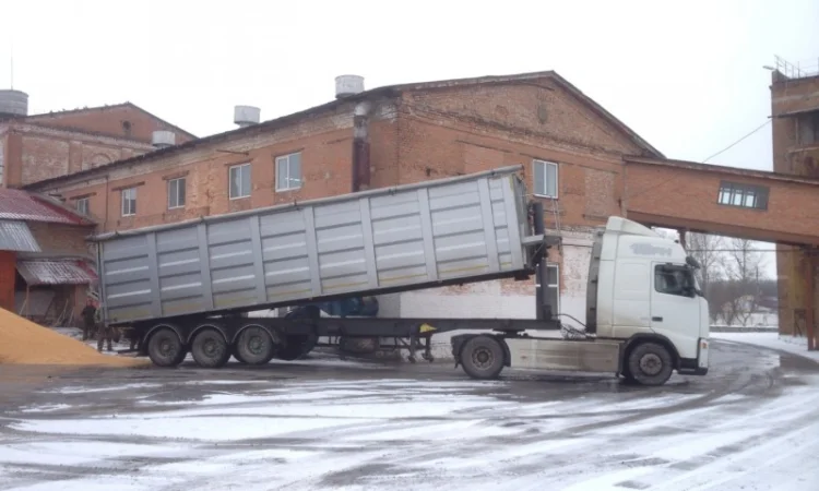 Самосвальні зерновози. Жнива 2024 р. Агроперевозки - фото № 2