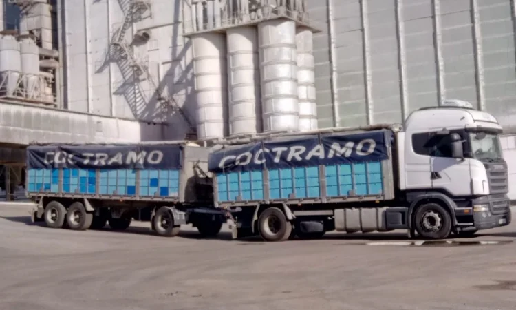 Зерновоз, самосвал, семечка, кукуруза, пшеница - фото № 1