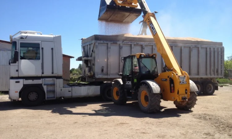 Зерновози, самоскиди на прибирання врожаю 2024 року - фото № 1