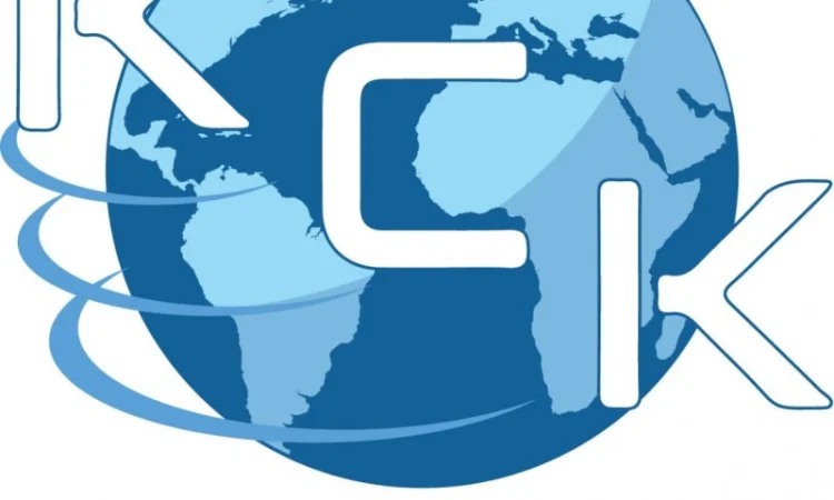 Митно брокерські, транспортні, логістичні послуги - фото № 1