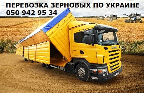 Перевозки зерновых масличных бобовых шрота добавок удобрений по Украине, на Европу - фото № 1
