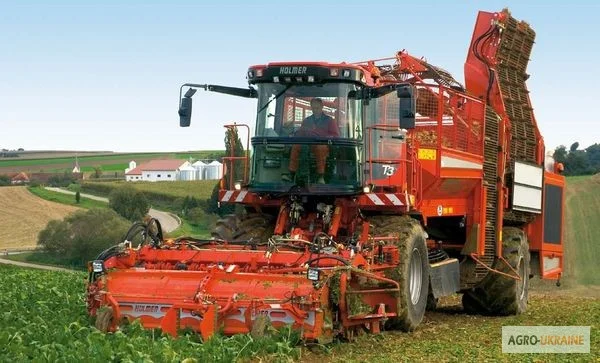 Услуги по уборке урожая свеклы - фото № 1