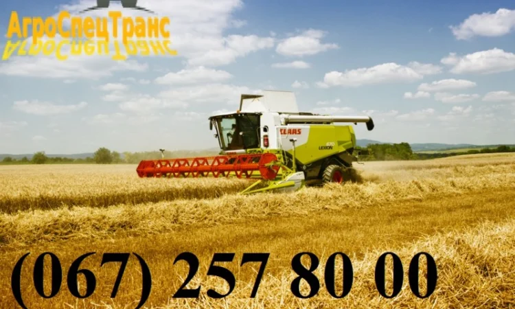 Уборка урожая - фото № 1