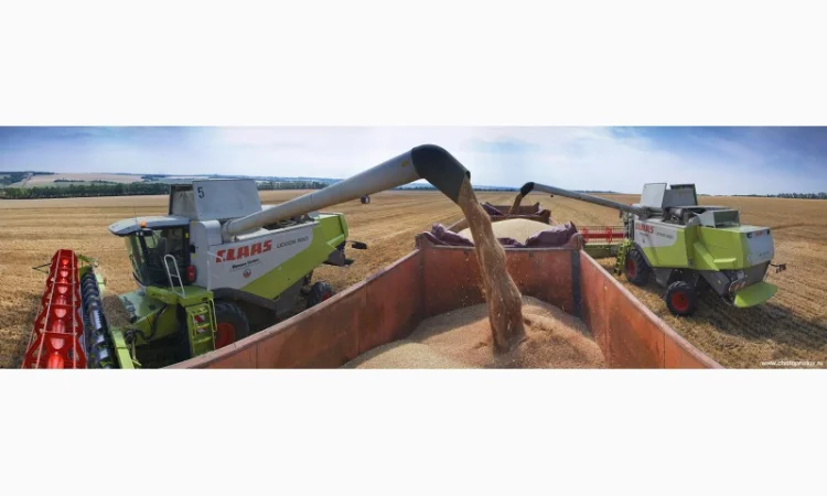 Услуги по уборке урожая комбайнами Херсон. Уборка зерновых Херсон - фото № 3