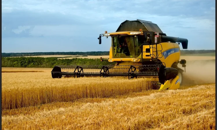 Услуги уборки зерновых комбайнами Запорожье. Уборка урожая комбайнами, аренда комбайна - фото № 2