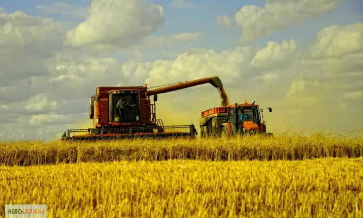 Услуги уборки зерновых комбайнами Запорожье. Уборка урожая комбайнами, аренда комбайна - фото № 4