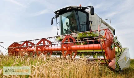 Уборка урожаю зернових комбайнами в Житомирі - фото № 2