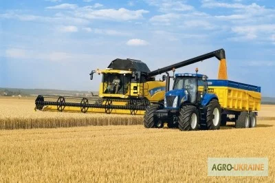 Уборка зерна комбайнами в Хмельницком - фото № 3