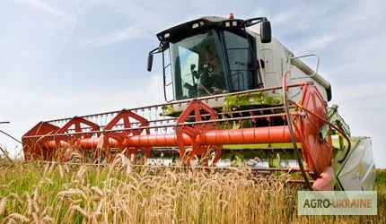 Уборка зерна комбайнами в Хмельницком - фото № 4