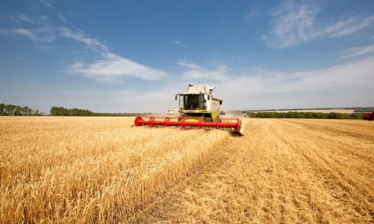 Услуги по уборке урожая комбайнами обработка земли посев по Украине - фото № 1