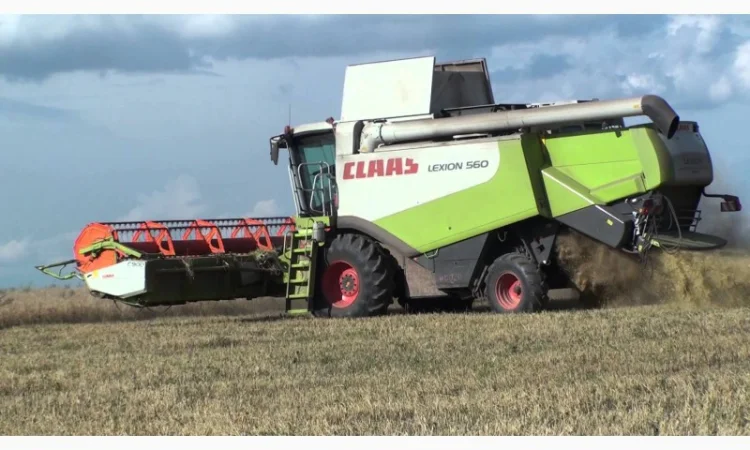 Услуги по уборке урожая подсолнуха сои кукурузы - фото № 1