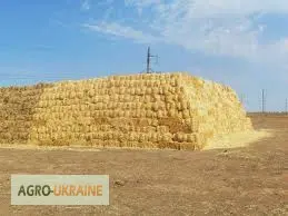 Найму или возьму в аренду пресс-подборщик тюковый Херсонская обл - фото № 1