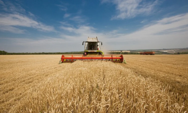 Комбайны на уборку 2 Кейса 5130 2013год свободны на уборку по Винницкой обл - фото № 2