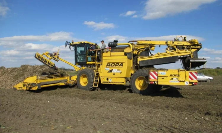 Погрузка сахарной свеклы погрузчиком Ропа - фото № 1