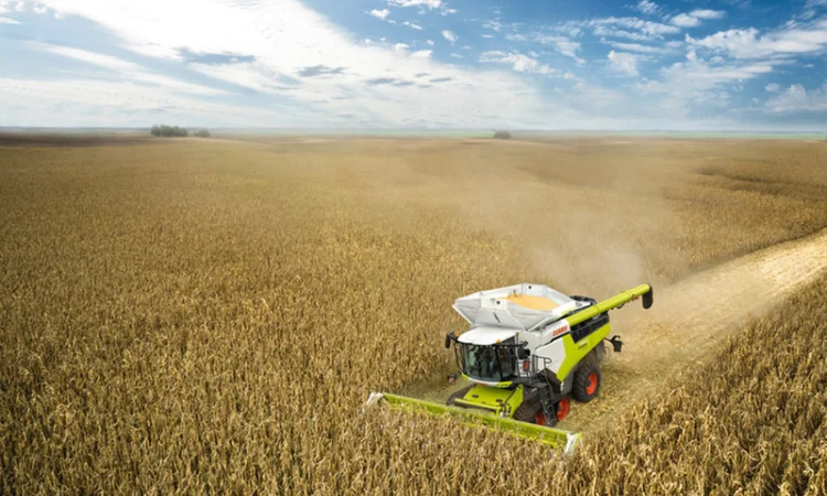 Уборка подсолнечника соняшника кукурузы сои Кропивницкий Александрия Александровка Петрово - фото № 1