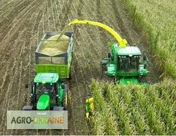 Услуги силосоуборочного комбайна Ягуар для уборки силоса - фото № 1