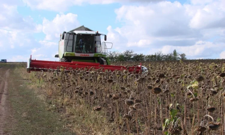Услуги по уборке подсолнуха кукурузы сои Днепр обработка земли посев - фото № 1