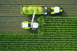 Интересует убрать 700 га кукурузы на силос нужен силосный комбайн найму с 10 Августа - фото № 1