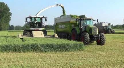 Найму комбайн, требуеться комбайн 150 га кукурузы на силос в Карловке Полт.обл - фото № 1